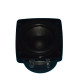 FULL RANGE SPEAKER Hisense